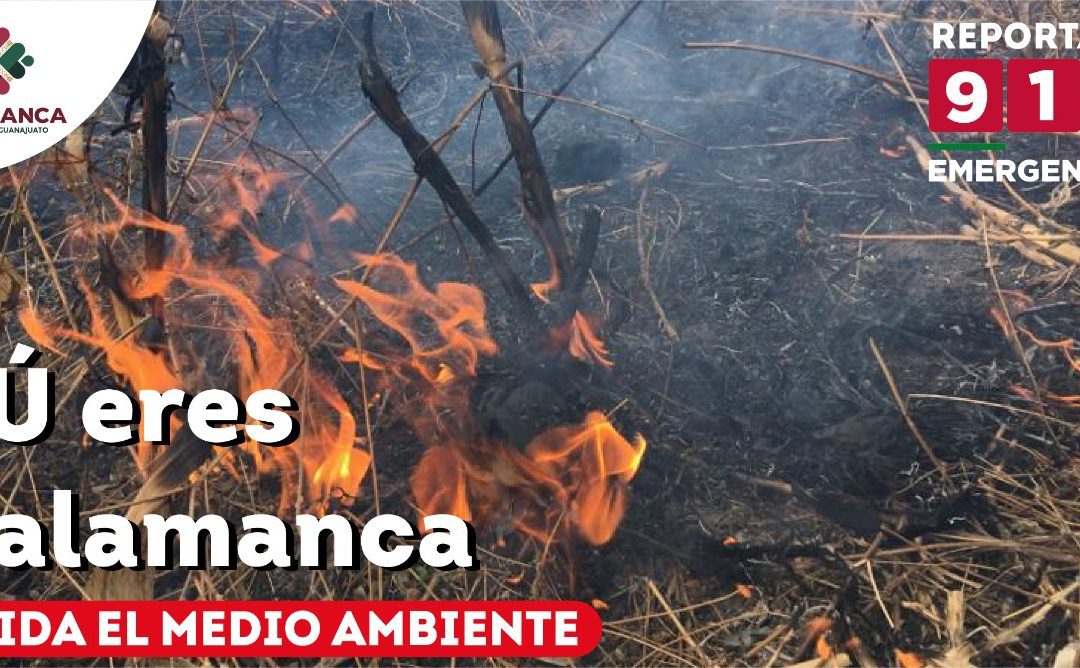 Gobierno de César Prieto exhorta a la ciudadanía a evitar incendios
