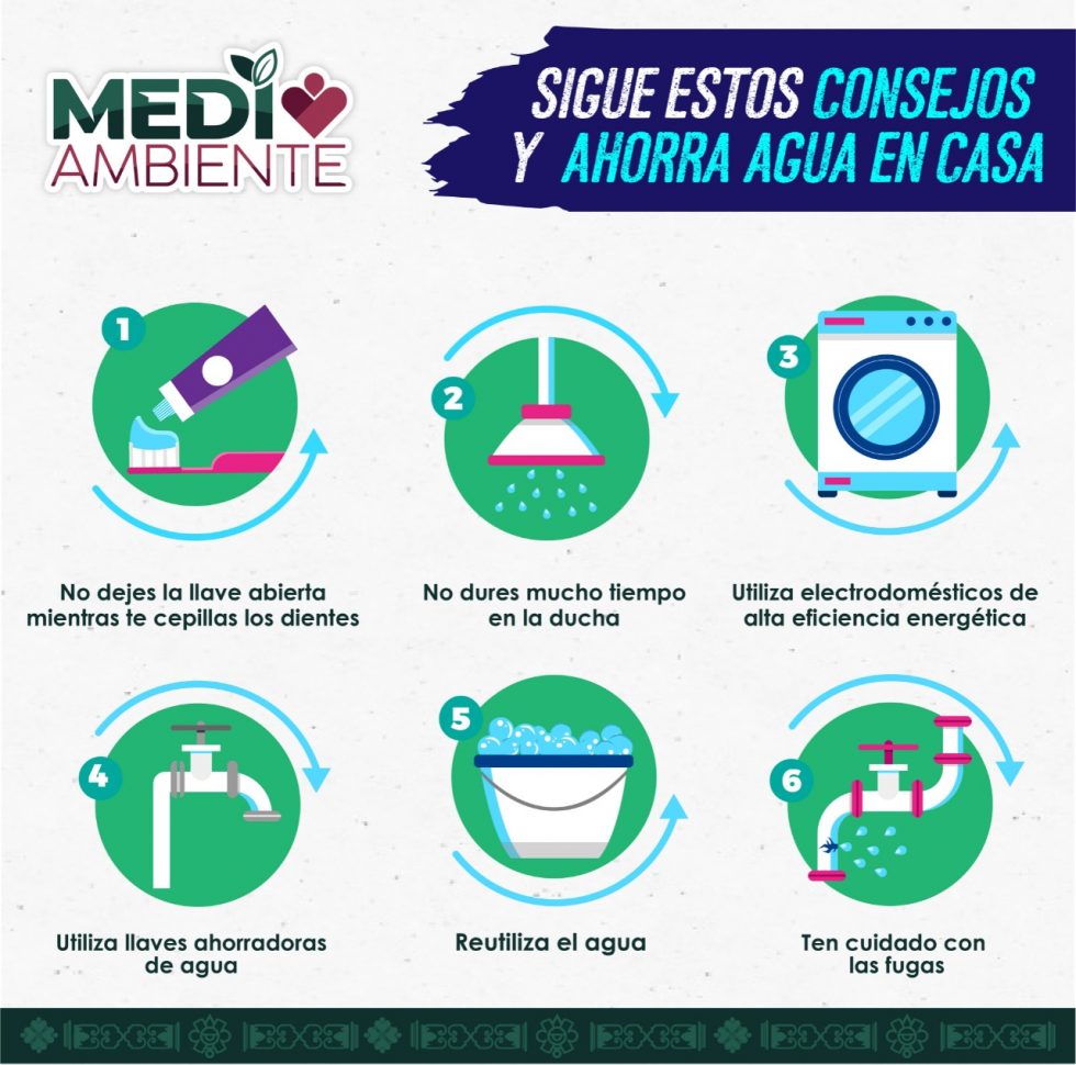 Dirección De Medio Ambiente Emite Recomendaciones Para El Cuidado Del ...