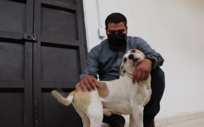 Concientiza CCA Salamanca sobre tenencia responsable de mascotas
