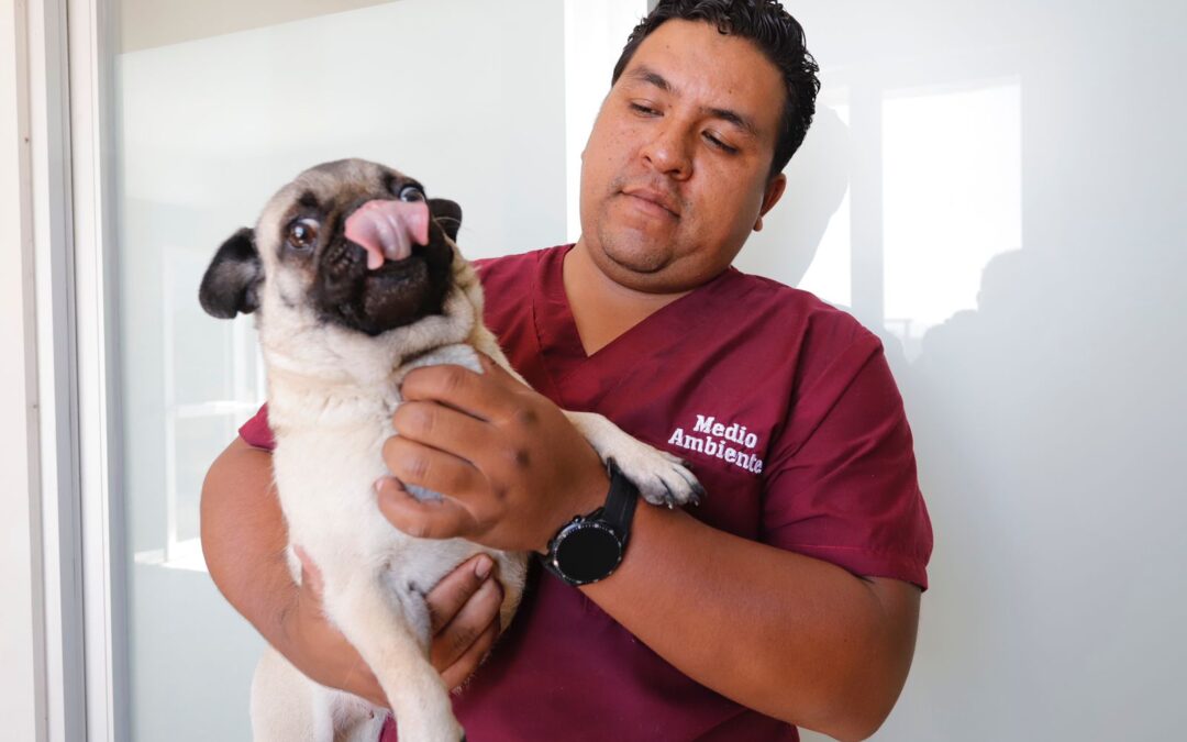 Trabaja Centro de Control Animal de Salamanca en el cuidado y protección de las mascotas.