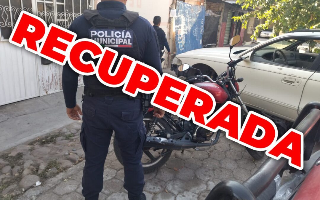 Policía de Salamanca decomisa sustancias ilícitas y recupera vehículos con reporte de robo