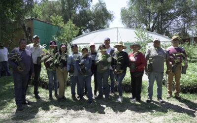 Recibe Gobierno Municipal de Salamanca donación de más de 10 mil árboles de Grupo México