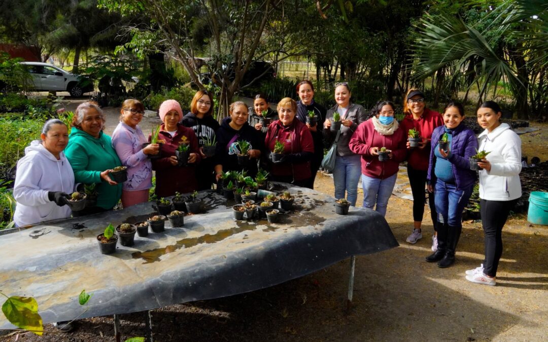 DIRECCIÓN DE MEDIO AMBIENTE DE SALAMANCA EMPODERA A MUJERES A TRAVÉS DE TALLERES DE EMPRENDIMIENTO SOSTENIBLE